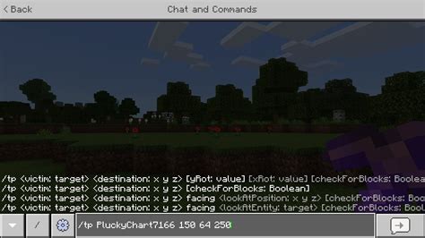 How to Use the Tp Command in Minecraft.